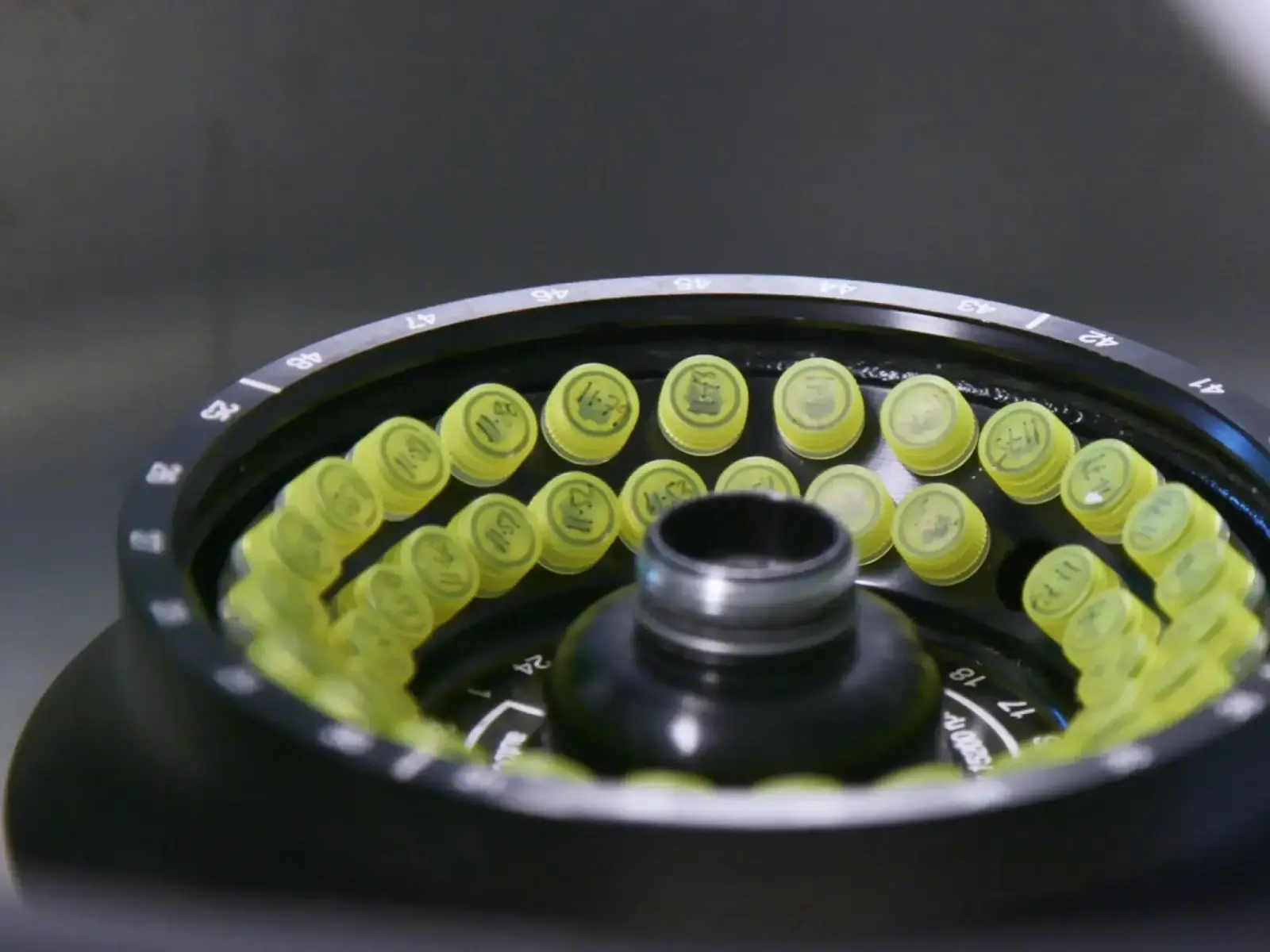 Pharmaceutical Development & Microbiome Impact