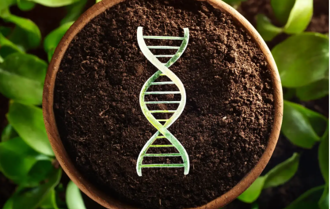 What is the Soil Microbiome & Why Is It Important?