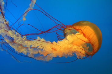 eDNA Sampling For Species Identification: 7 Examples