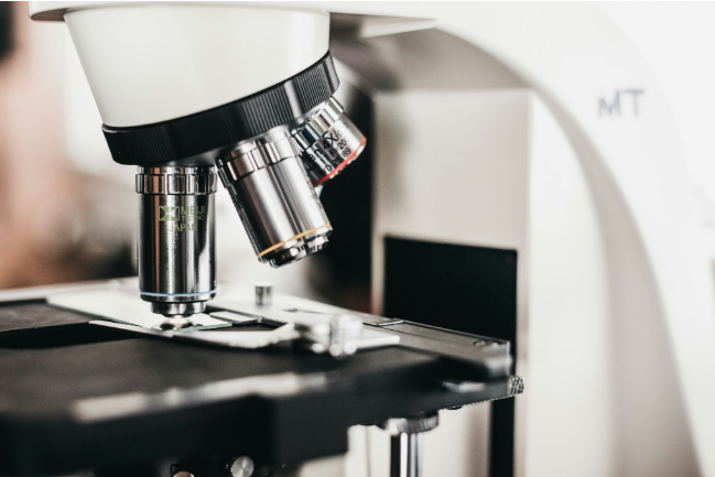 Data Visualization in Microbiome Research