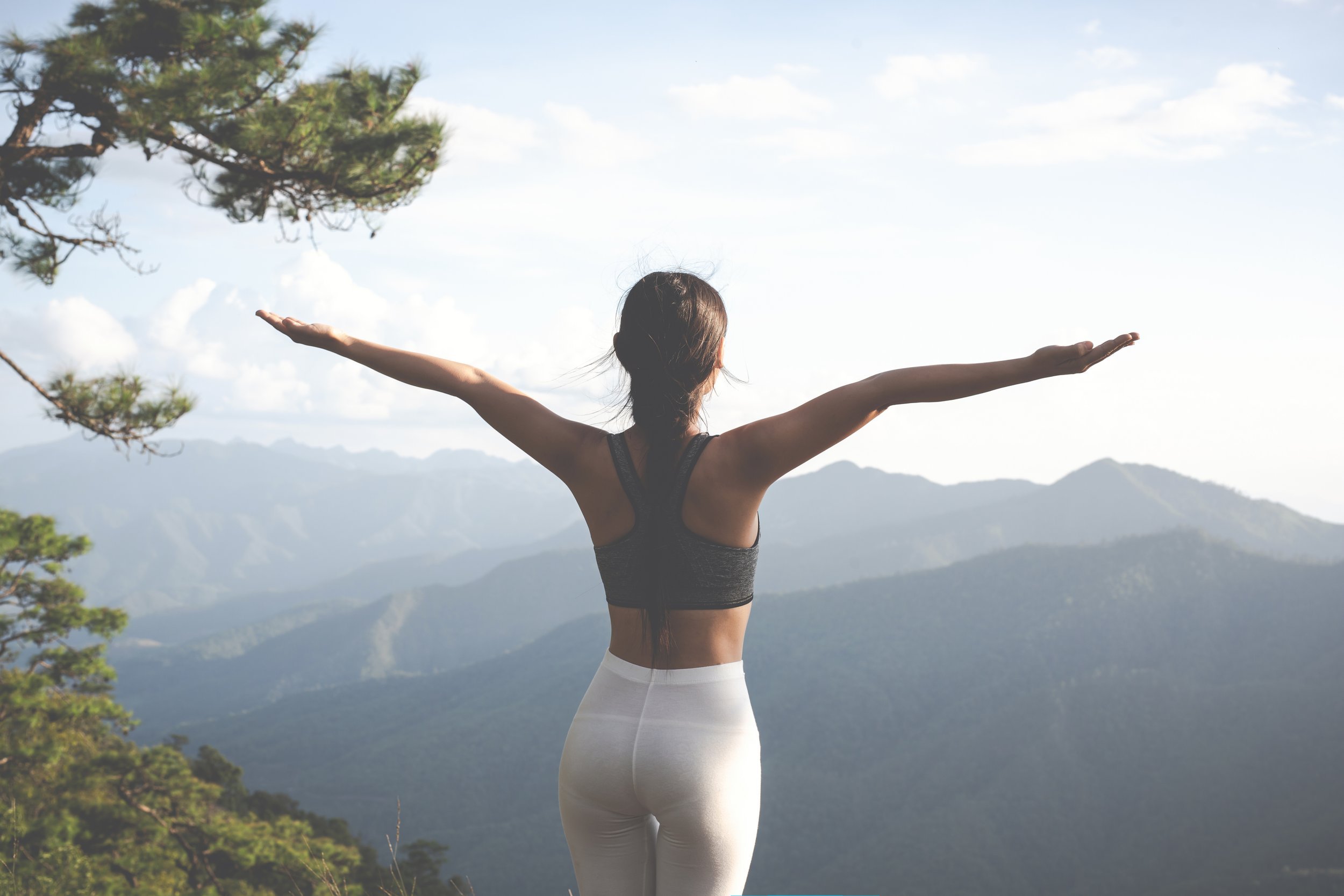 The Link Between the Gut Microbiome and Mental Health