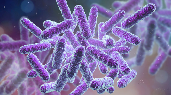 Why is Metagenomics Important?