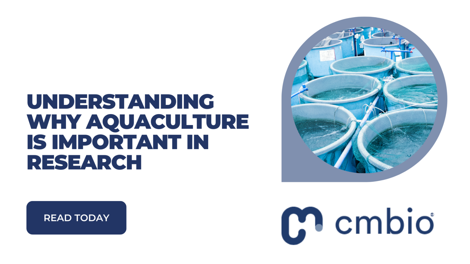 Understanding Why Aquaculture is Important in Research